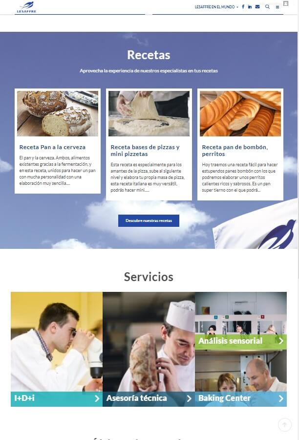 Recetas y servicios web Lesaffre España
