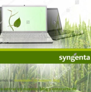 Newsletter con Ampscript y Cloud Pages | Syngenta 
