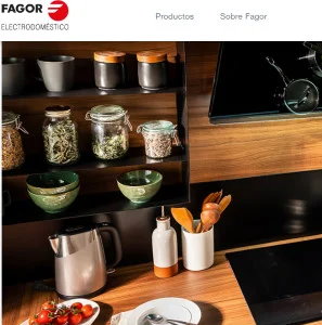 Auditoría SEO | Electrodomésticos Fagor 