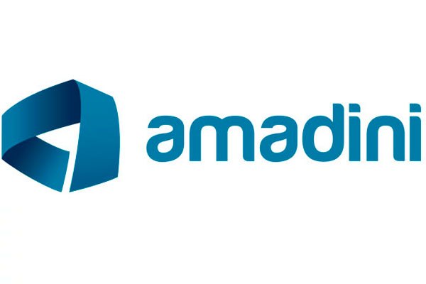 Logo Amadini
