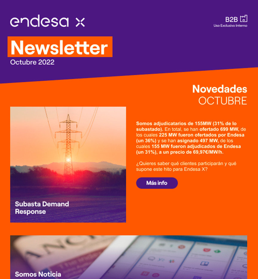 Endesa X Newsletter
