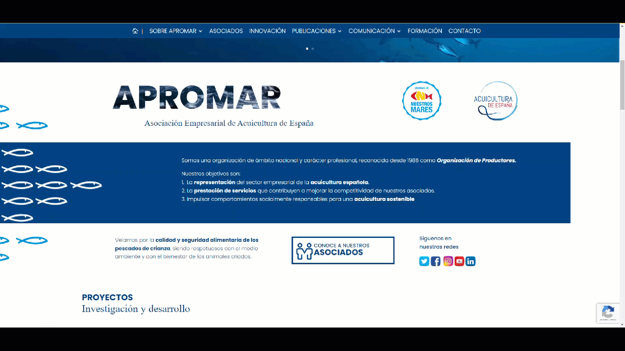 Animación, microinteracciones y vídeo