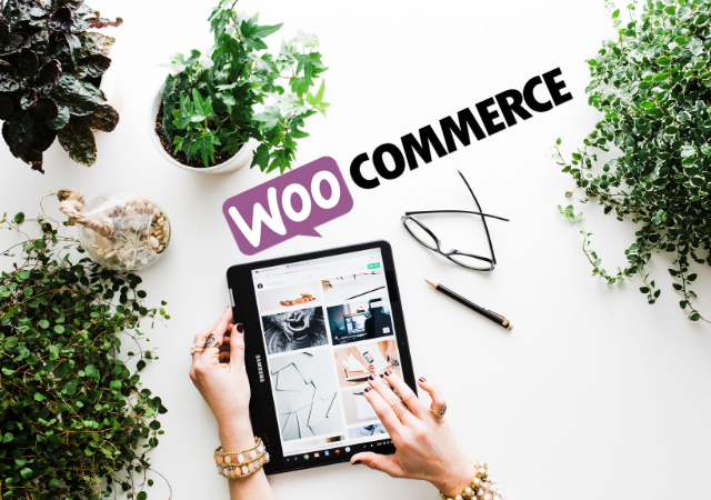 SEO para WooCommerce