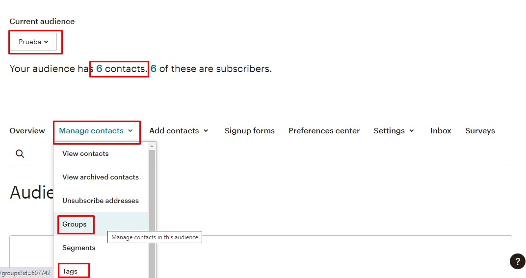grupo audiencia mailchimp