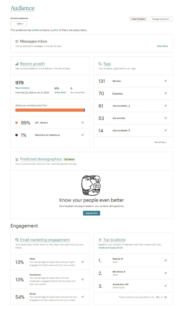 Mailchimp Audience Report