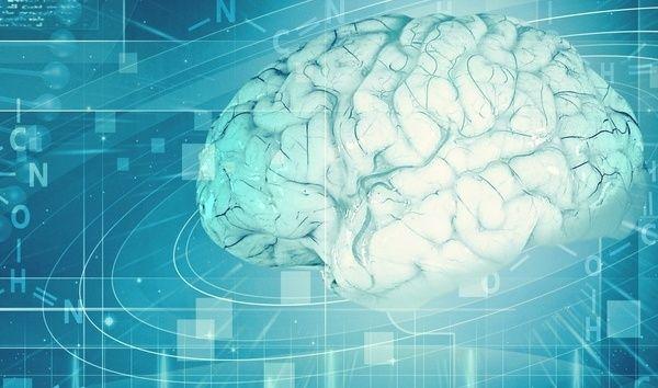 El uso de la Neurociencia para la optimización de landing page