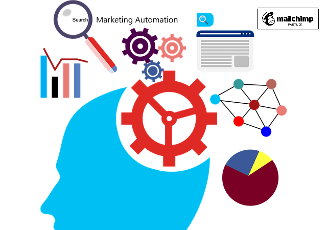 Tipos de automatizaciones con Mailchimp