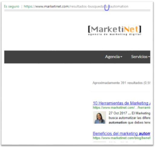Búsqueda interna Marketinet