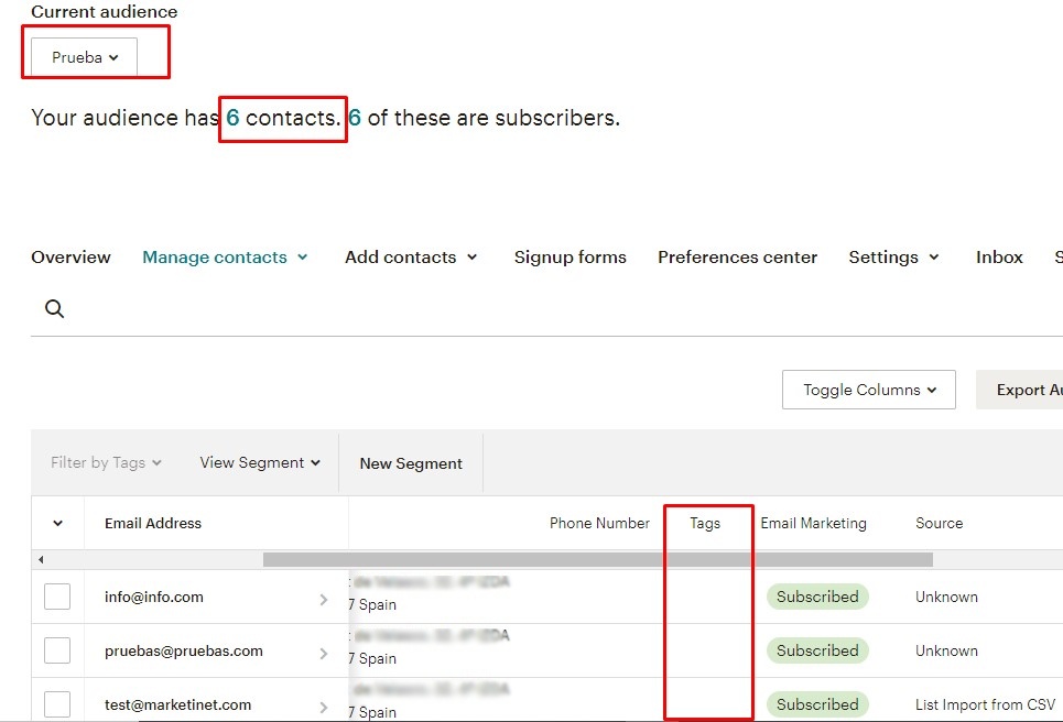 grupo audiencia mailchimp