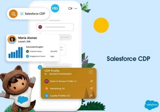Salesforce_CPD_02