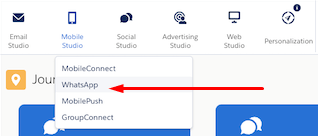 Conectar WhatsApp con Marketing Cloud