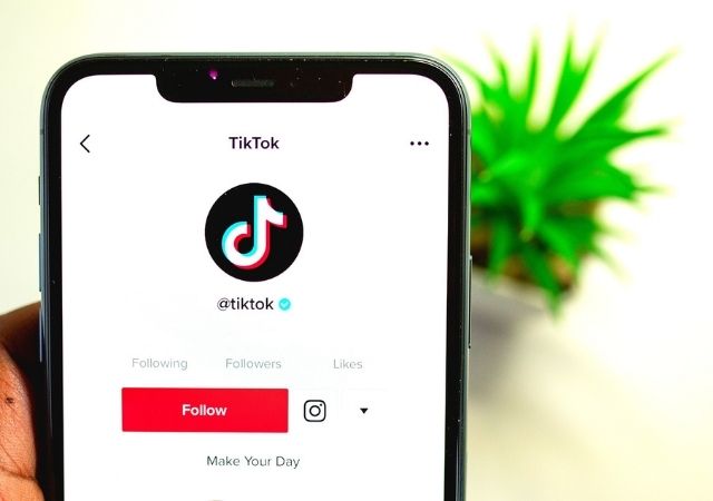 TikTok for Business