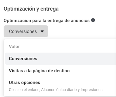Opciones de Entrega de Anuncios en Facebook Ads