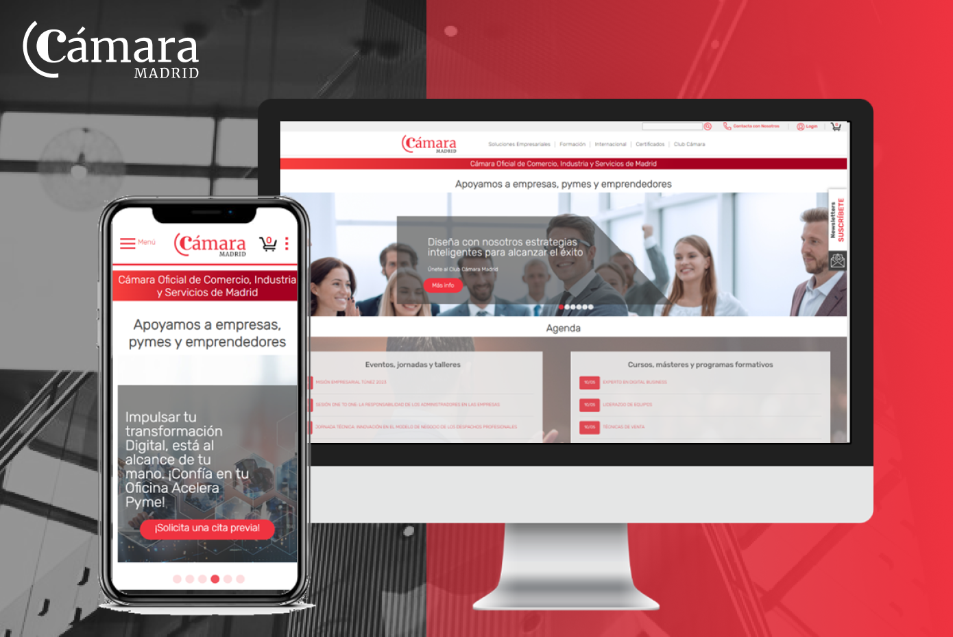 Desarrollo de Auditorías UX | Cámara Madrid 1 Aegon banners display Multidispositivo