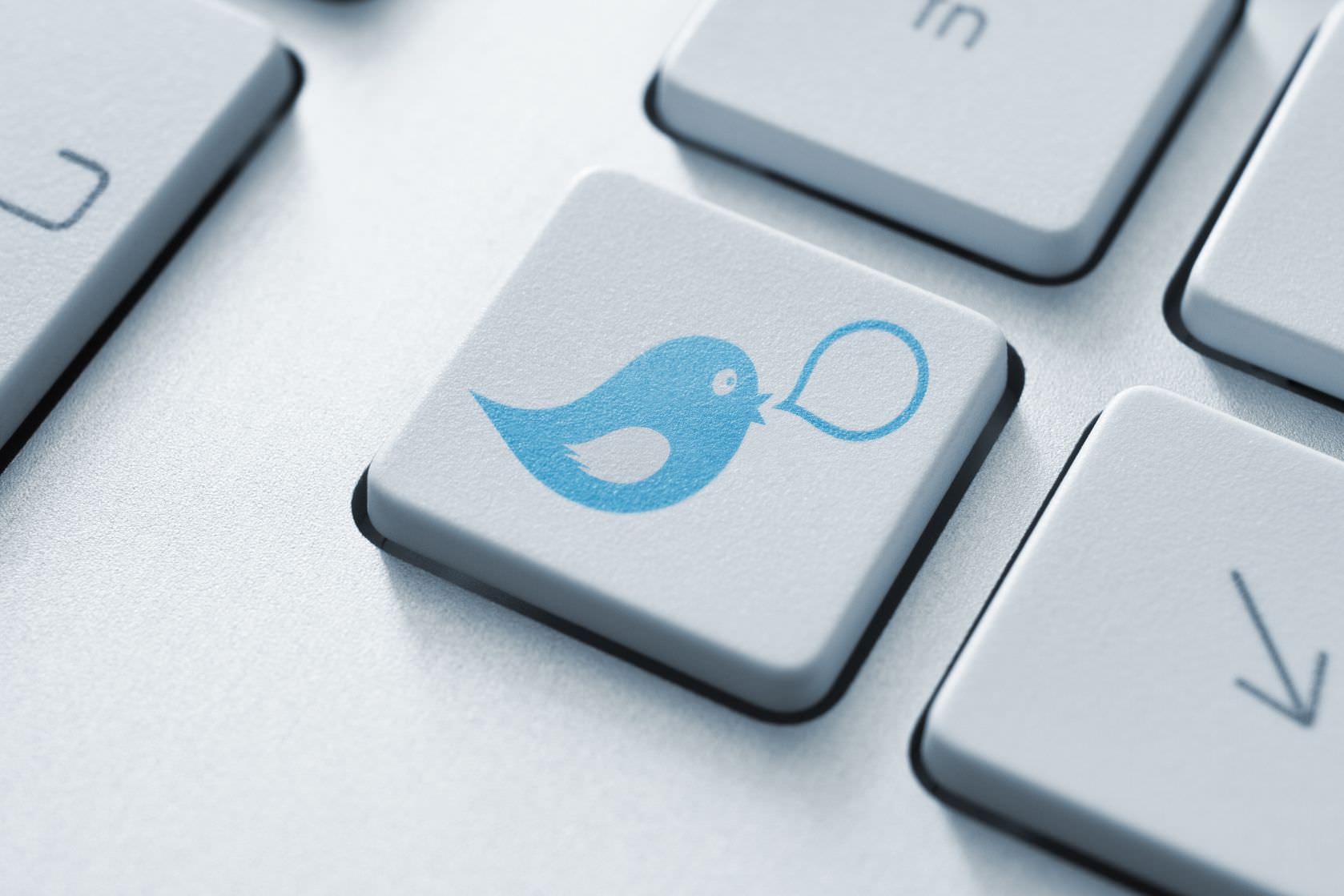 Cómo crear una campaña de seguidores con Twitter Ads