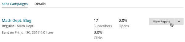 Haz clic en View Report (Ver informe)