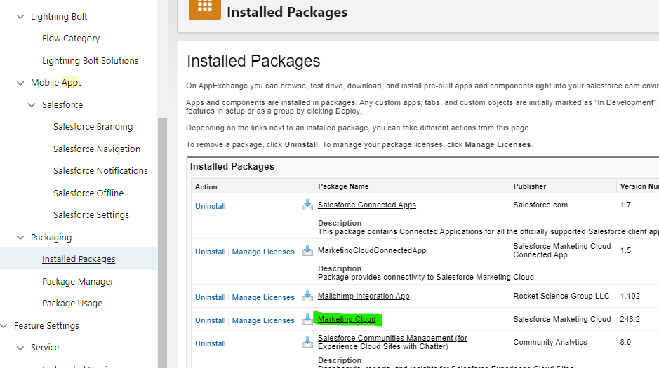 Por qué entran registros en Journey Builder desde Salesforce