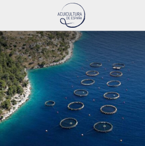 Campaña de Paid Media en apoyo a Medios Masivos