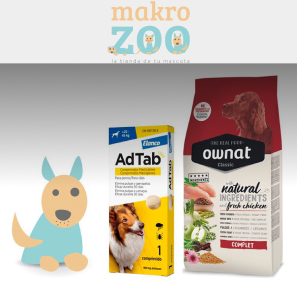 Gestión de Campañas de Paid Media para Ecommerce