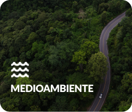 Medioambiente